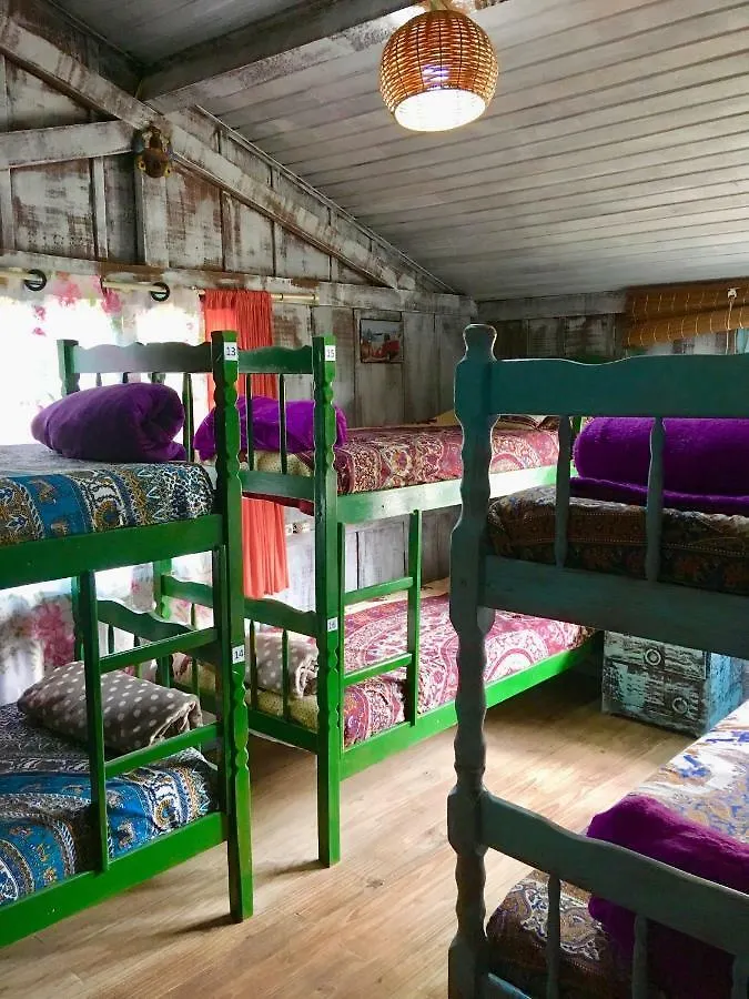 旅馆 Casahostel Floresce 普腊亚罗萨