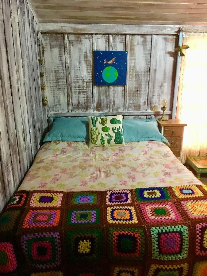 旅馆 Casahostel Floresce 普腊亚罗萨 巴西
